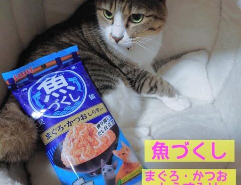 みんなガツガツ食べちゃう‼『魚づくし まぐろ・かつお しらす入り』🐟