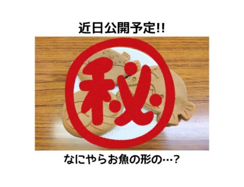 近日公開!なにやらお魚の形の…❓