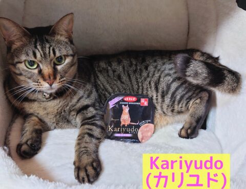 とてもこだわって作られていてトレイごはんなのに総合栄養食✨‼Kariyudo(カリユド)🐈